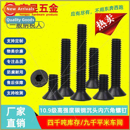 M1.6M2M2.5M3 Grade 10.9 black hexagon socket head cap screws