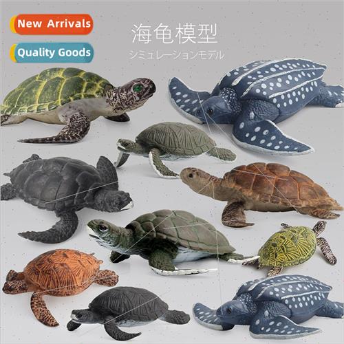 Animal model toys variety sea turtle doll ornaments plastic