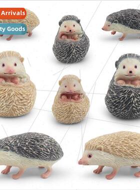 Forest Animals Hedgehog model spiny group hedgehog mouse ste