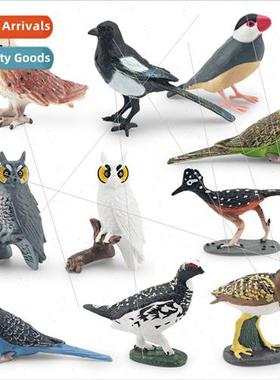 Flying Birds Bird Animal Colorful Snipe Owl Magpie Magpie Th