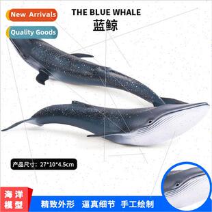 life animal toy model blue whale model toys static artifacts