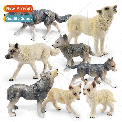 Wildlife whe wolf gray wolf model berian wolf king North Ame