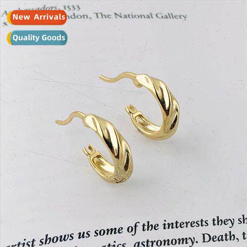 925 silver earrings Europe cold wind irregular niche fashion