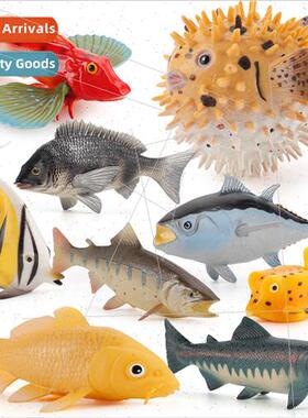Solid freshwater fish model set 9 children science education