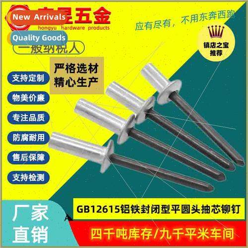 Aluminum iron closed end blind rivets wh flat round head GB1