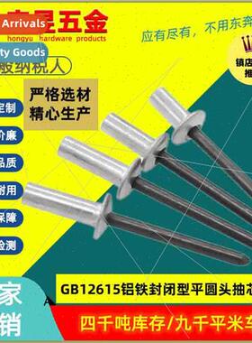 Aluminum iron closed end blind rivets wh flat round head GB1