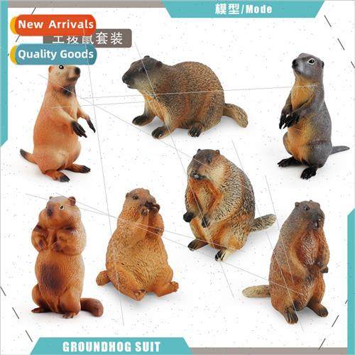 Children wildlife world groundhog model mouse chipmunk squir