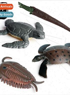 Mini megalodon shark room hornstone beluga whale nautilus pr