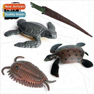 Mini megalodon shark room hornstone beluga whale nautilus pr