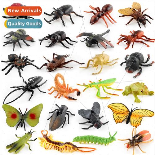 children science education butterfly dragonfly ladybug frog图片