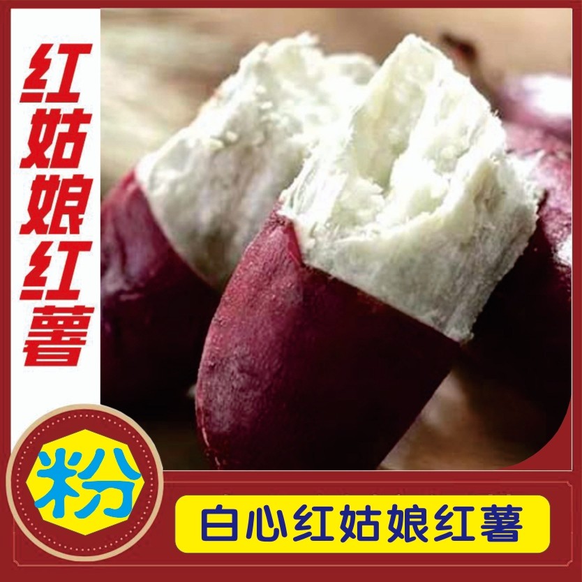 防城港红皮白心粉香红姑娘红薯-香糯五里香红薯