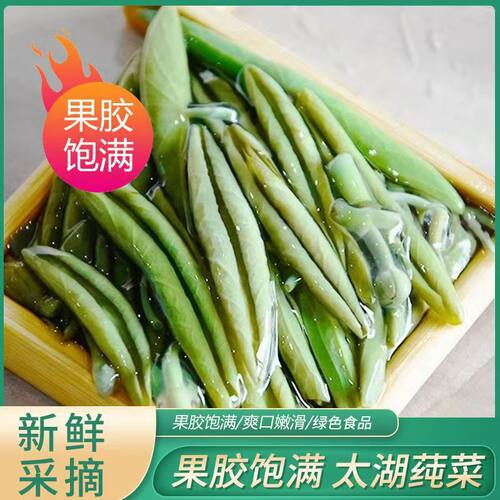 莼菜500g湖北特产包邮