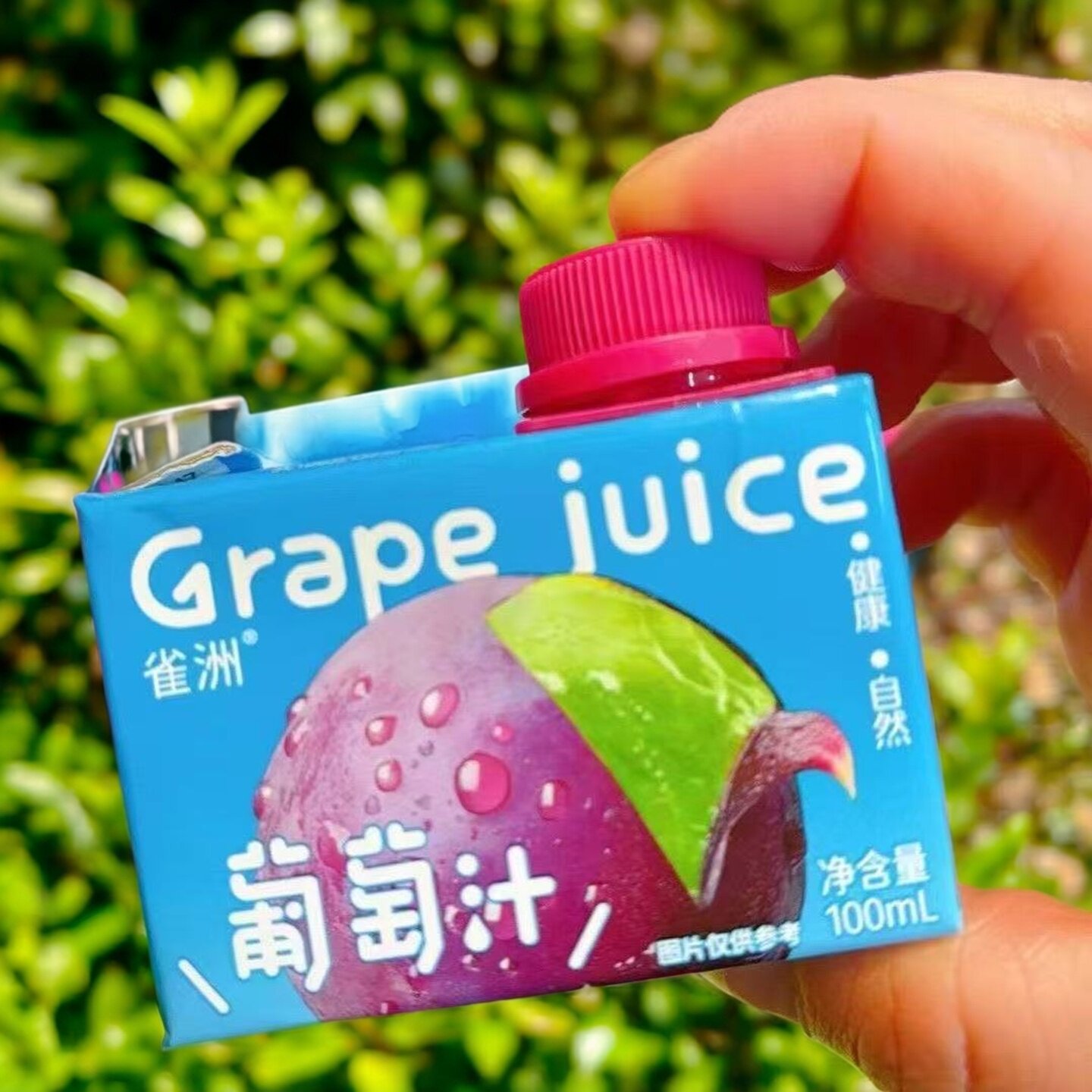 雀洲小果汁100ml盒装便携装
