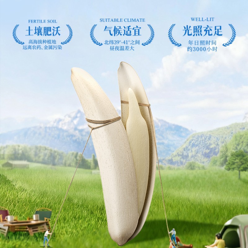 张笨仁月牙美仁瓜子五香原味组合装牙签瓜子年货休闲零食瓜子图片