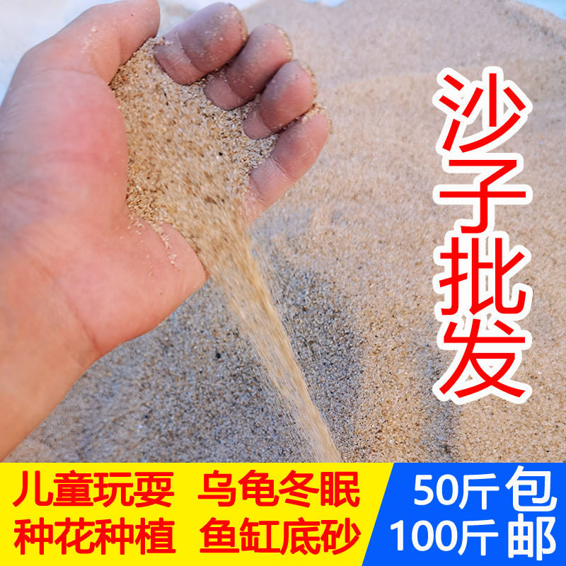 天然河沙细沙种植种花多肉铺面