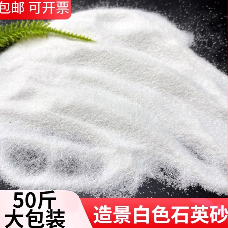 湖南白色细沙墙面白沙白色石英砂儿童娱乐沙微景观造景白沙子