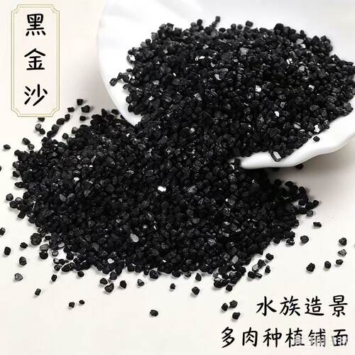 陕西黑金沙多肉植物铺面石