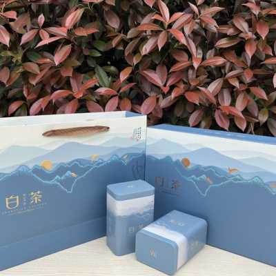 新茶礼品盒白茶安吉特产白茶礼盒包装盒茶叶盒子2两礼盒100克空盒