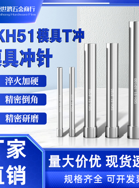 模具冲针SKH51高速钢加硬T型冲头不锈钢圆柱五金模具压孔非标定