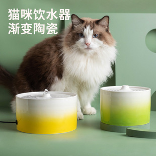 猫咪自动饮水机恒温加热陶瓷饮水器宠物自动喂水狗水盆流动喝水器