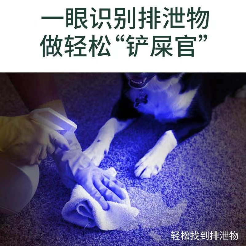 猫咪玩具逗猫棒激光笔红外线UBS充电自嗨激光笔解闷宠物用品