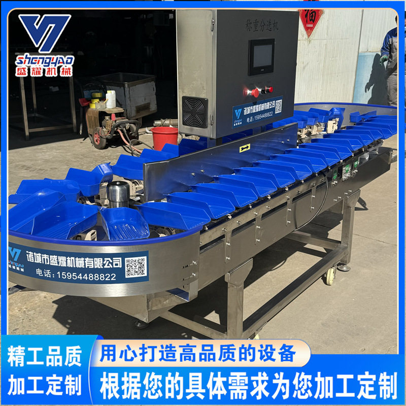 牡蛎自动上料分拣机 鸡翅鸡爪重量分选机  石榴重量选果机设备