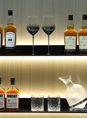 酒瓶真软装饰道具柜高档红