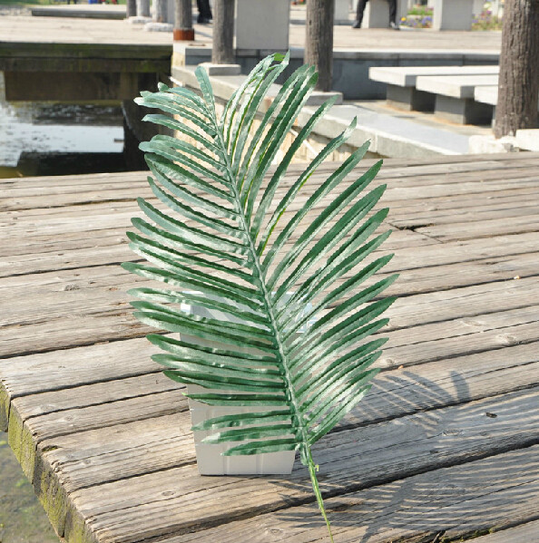 单片棕榈叶仿真叶单片叶仿真花散尾葵叶扇叶蒲叶插花配材假叶子图片