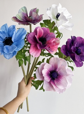禹涵大号伏毛银莲仿真花虞美人