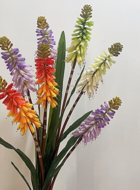 火炬花仿真花束火把莲假花红火棒