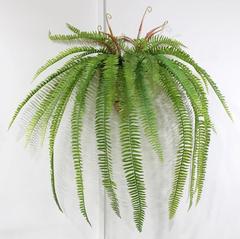 Dài 15 lá lá Ba Tư treo tường hoa nhân tạo Lá dương xỉ Ba Tư nhựa cây xanh hoa nhân tạo mây nhựa trang trí hoa mây cây xanh giả giả hạc hoa hồng đỏ