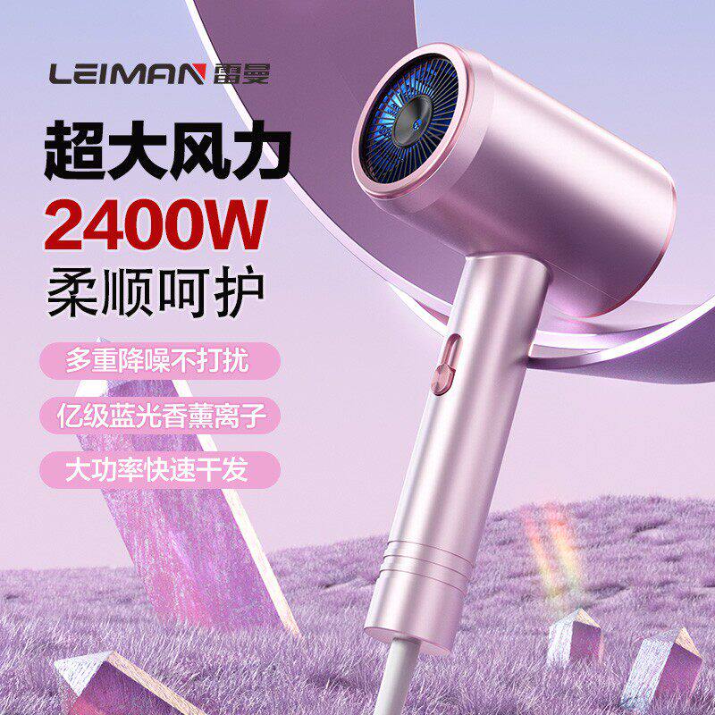 Leiman雷曼大功率家用发廊速干吹风机蓝光离子冷热宿舍电吹风筒g