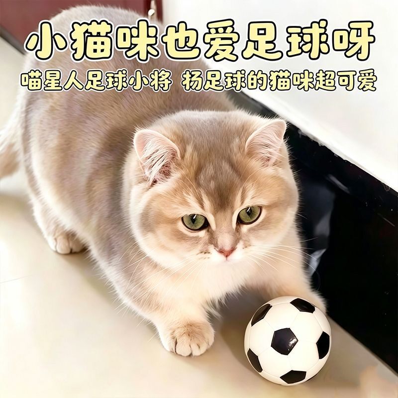 【董宇辉推荐】小猫玩具足球解闷