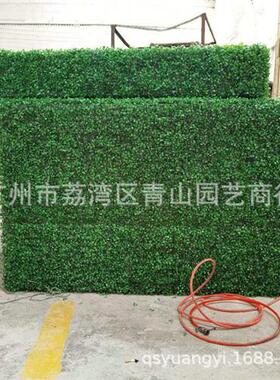 米兰草篱笆可定米兰草系列造型盆栽方块绿色仿真植物厂家
