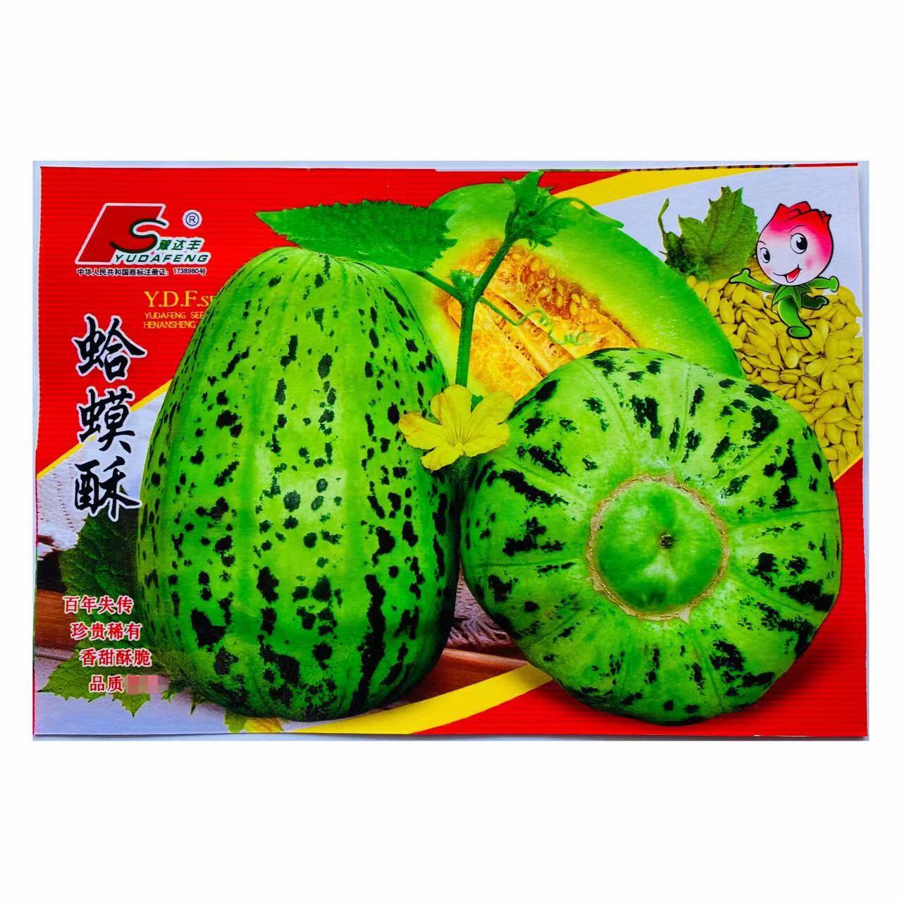 蛤蟆酥甜瓜种子香酥脆香瓜种籽庭院种植花皮酥瓜味甜含糖量高春季