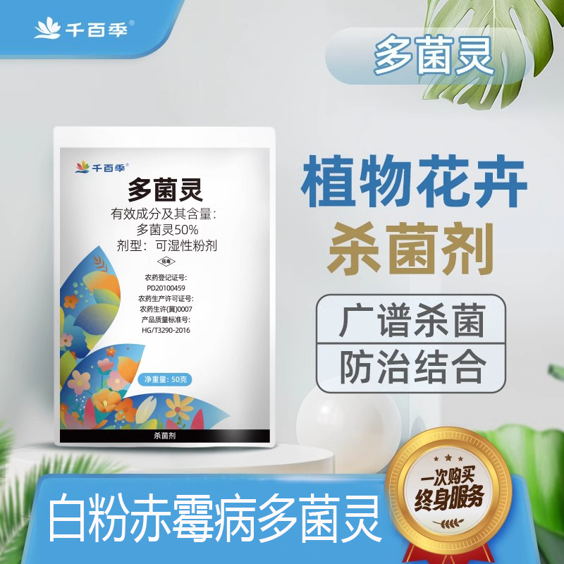 千百季多菌灵杀菌剂百菌灵多菌菌灵月季兰花卉绿植赤霉白粉病花药