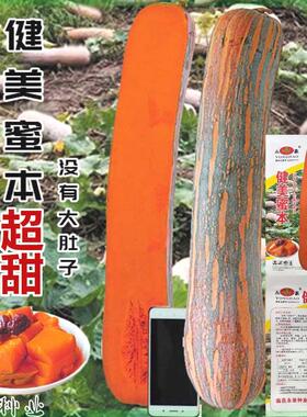健美蜜本南瓜种子超甜粉面密本南瓜种籽甜面南瓜早熟高产蔬菜种子