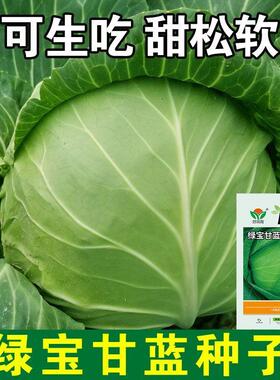 四季播种水果甘蓝种子莲花白种籽卷心菜包菜种子农家高产蔬菜种子