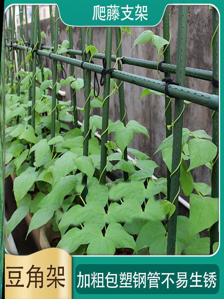 四季豆架子豆角架黄瓜架爬藤支撑架菜园菜架子种菜种植蔬菜架杆搭
