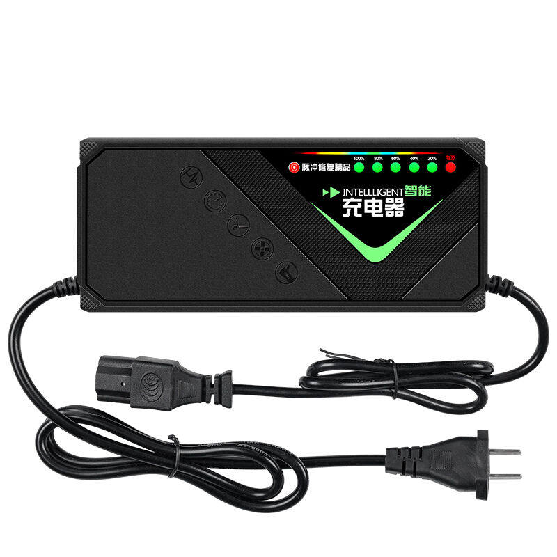 适用比德文电动车电瓶车充电器48V12Ah铅酸电池三轮车通用智能非