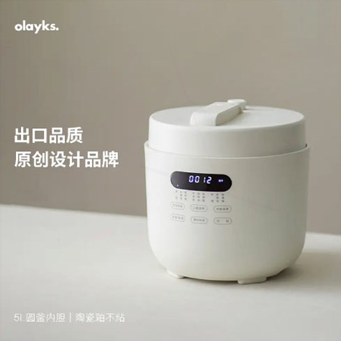 日本进口2025新款电压力锅家用智锅能5L大容量多功能高压锅饭煲