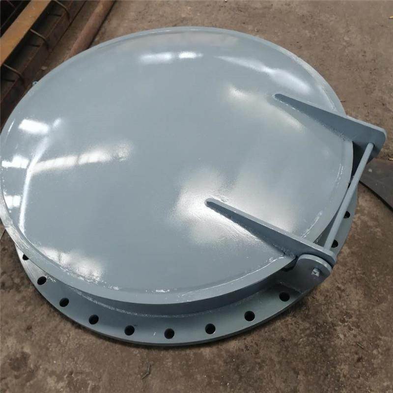 不锈钢碳钢浮箱式门 定做各种开门节能侧翻式双拍 钢制拍拍门