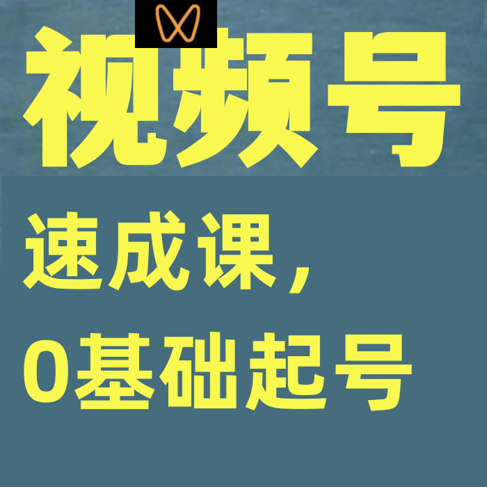 视频号速成课，0基础起号，看这一个课就够了社交算法变现方式 商务/设计服务 设计素材/源文件 原图主图