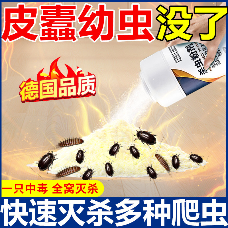 黑皮蠹杀虫剂幼虫卵双杀虫饵剂厨房厕所小黑虫诱捕粉蠹虫皮囊神器