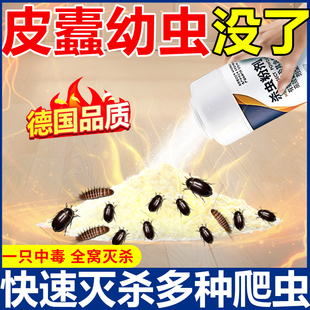 黑皮蠹杀虫剂幼虫卵双杀虫饵剂厨房厕所小黑虫诱捕粉蠹虫皮囊神器