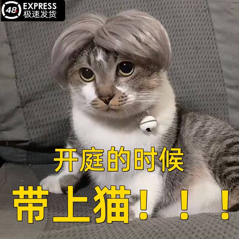 猫咪中分假发梅狸猫蔡徐坤ikun头发假发坤坤鸡哥发型鸡你太美发套