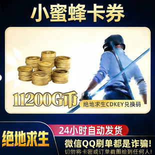 PUBGG币绝地求生11200GB兑换码CDK吃鸡游戏金币皮肤GB官方充值卡