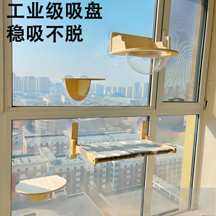 窗户吸盘猫爬架猫吊床观景台实木玻璃窗飘窗墙壁式猫咪跳台太空舱