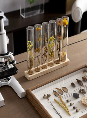 现代简约样板间书房干花标本手工摆件显微镜放大镜客厅桌面装饰品