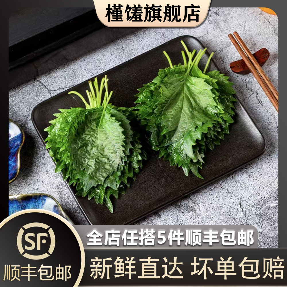 新鲜紫苏叶槿馐日式紫苏叶